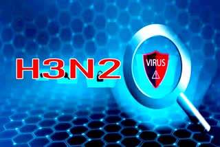 H3N2 Virus Influenza A virus H3N2