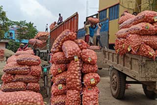 Potatoes Cultivation in Malda