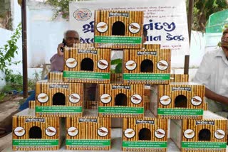 World Sparrow Day: ચકલી દિવસે જૂનાગઢને મળી નવી સંસ્થા, હવે પર્યાવરણ સહિત ચકલીઓ માટે થશે નવા કામ