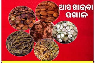 ବିଶ୍ବ ପାଳୁଛି ପାଖାଳ ଦିବସ