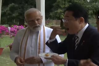 Japan's PM Kishida eats Panipuri with Modi