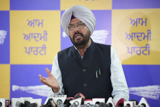 Minister Kuldeep Dhaliwal said that anti-Punjab people will not be spared