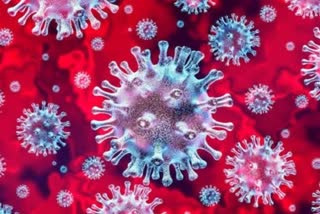 ھارکھنڈ میں H3N2 اور کورونا کے نئے کیسز
