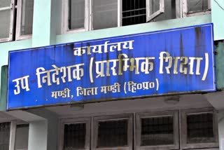 शिक्षा विभाग मंडी