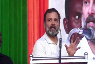 rahul gandhi  bjp  narendra modi  prime minister narendra modi  kozhikode  parliament  judiciary  rss  latest news in kozhikode  ബിജെപി  നരേന്ദ്രമോദി  ജനാധിപത്യ സ്ഥാപനങ്ങള്‍ അക്രമ ഭീഷണിയിലാണ്  രാഹുല്‍ ഗാന്ധി  കോഴിക്കോട്  സ്വതന്ത്ര്യ മാധ്യമപ്രവർത്തനം  പാർലമെന്‍റ്  ജുഡീഷ്യറി  ഇലക്ഷൻ കമ്മീഷൻ  കോഴിക്കോട് ഏറ്റവും പുതിയ വാര്‍ത്ത  ആര്‍എസ്‌എസ്‌  ഇന്നത്തെ പ്രധാന വാര്‍ത്ത