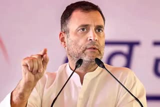 Etv Bharat'Many people are afraid of Narendra Modi, BJP and police. But I'm not like that': Rahul Gandhi