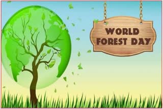 World Forest Day 2023