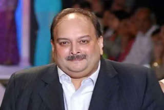 mehul choksi