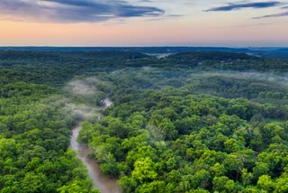 World Forestry Day