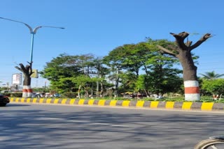 heavy cutting trees in Bhopal name of development l