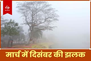 dense fog in dumka