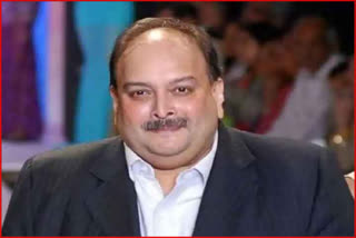 Mehul Choksi