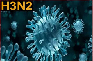 H3N2 Influenza Virus