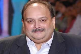 Mehul Choksi