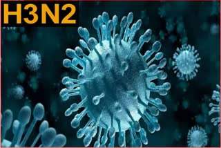 H3N2 Influenza Virus