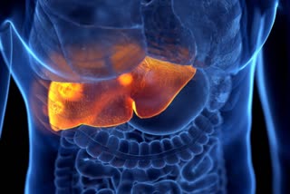 Liver Cirrhosis Symptoms News