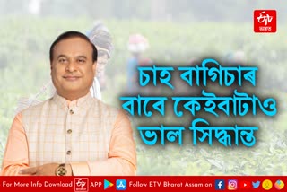 Assam cabinet decision