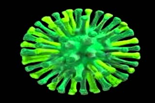 بچوں کو H3N2 وائرس سے کیسے بچایا جائے؟