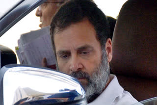 Rahul Gandhi will not be disqualified as MP if conviction stayed: Experts