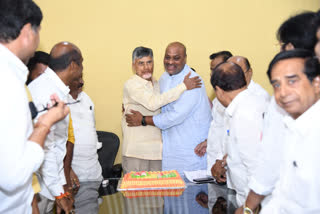 tdp celebrations