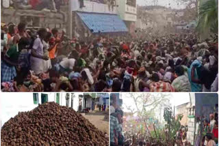 kurnool district dung cakes fighting