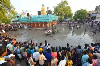 Donkeys and carts parade through mud