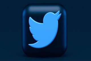 Twitter Blue Tick Cost