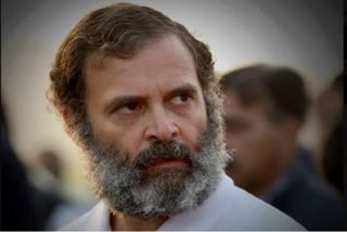 Modi surname case  Rahul Gandhi disqualified from parliament  Rahul Gandhi disqualified  ലോക്‌സഭ സെക്രട്ടേറിയറ്റ് നടപടി  രാഹുല്‍ ഗാന്ധി  രാഹുല്‍ ഗാന്ധിയെ എംപി സ്ഥാനത്തുനിന്നും അയോഗ്യന്‍  രാഹുല്‍ ഗാന്ധി