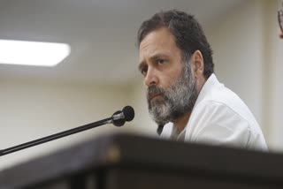 Rahul Gandhi's: What will be Rahul Gandhi's political future? Read what politicians say...?