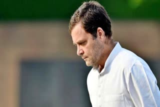 Rahul Gandhi Disqualified As MP: રાહુલ ગાંધીનું લોકસભા સભ્યપદ રદ થતા વિવિધ નેતાઓએ આપી પ્રતિક્રિયા