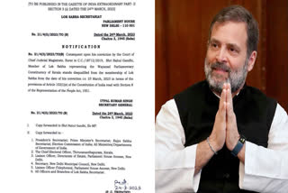 Lok Sabha Speaker's decision on Rahul Gandhi after the defamation case