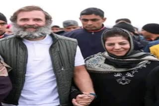 BJP can't fight him politically says mehbooba mufti