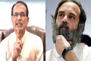 cm Shivraj on Rahul Gandhi cancellation membership