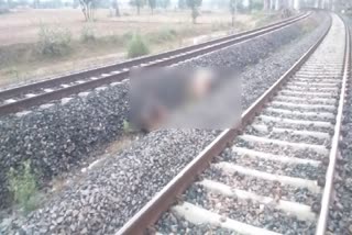 cows died by train in rewari