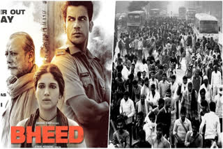 Bheed Day 1 Box Office Collection