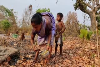 fire-in-the-forest-for-the-mahua-district-administration-will-take-action-dc-said-work-is-being-done-for-providing-employment-to-mahua