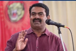 NTK Seeman