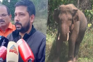 forest officials  court stay order  arikomban issue  wild elephant  wild elephant attack  latest news in idukki  അരിക്കൊമ്പനെ പിടികൂടുക മാര്‍ച്ച് 30ന്  കോടതി വിധി  വനം വകുപ്പ്  ഹൈറേഞ്ച് സര്‍ക്കിള്‍  അരികൊമ്പന്‍ ദൗത്യം  ഇടുക്കി ഏറ്റവും പുതിയ വാര്‍ത്ത  ഇന്നത്തെ പ്രധാന വാര്‍ത്ത