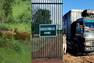 Bandhavgarh Tiger Reserve