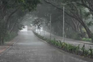 heavy rainfall expected in odisha