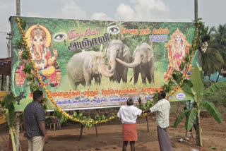 யானைகளுக்கு 21 ஆவது நாள் காரியம் செய்த ஊர்மக்கள்