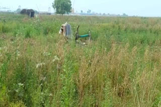 पटना में किसान सरकार के दोगुने के दावों को किया खारिज
