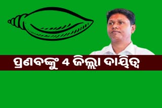 BJD appoints observers