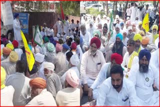 Farmers protest in sirsa