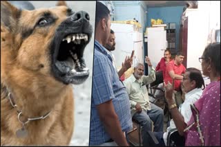 dog terror in Bihta