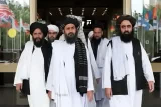 Taliban