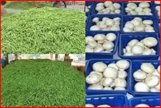 Today vegetable prices in Sabji Mandi Solan