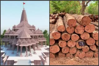teak wood used in Ram temple in Ayodhya