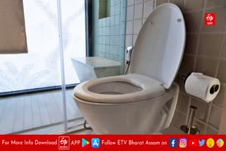 There are many times more bacteria around you than toilet seat negligence can make you ill