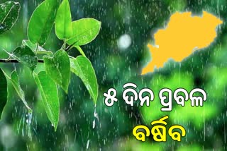 heavy rainfall expected in odisha